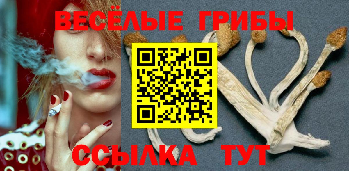 Минусинск  Псилоцибиновые грибы Magic Shrooms  Вход с VPN 